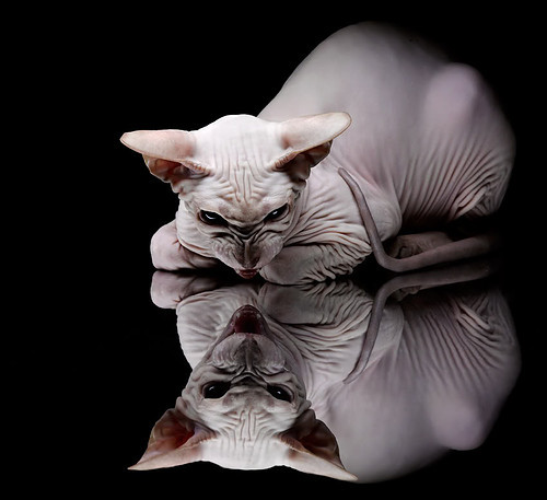 Kaiyun官方登录入口-_极限攀岩比赛：迎难而上的勇者之战_，极限攀爬第一人坠亡