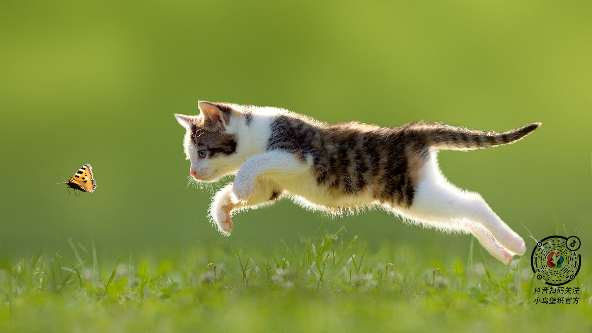 开云中国大陆-_燃情篮球夜：足球+篮球融合娱乐盛事_，燃烧篮球