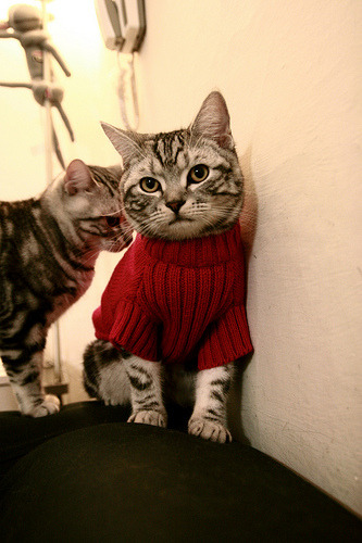 _赛事纪录:连续胜场、长时间比赛引人注目_,联赛最长连胜