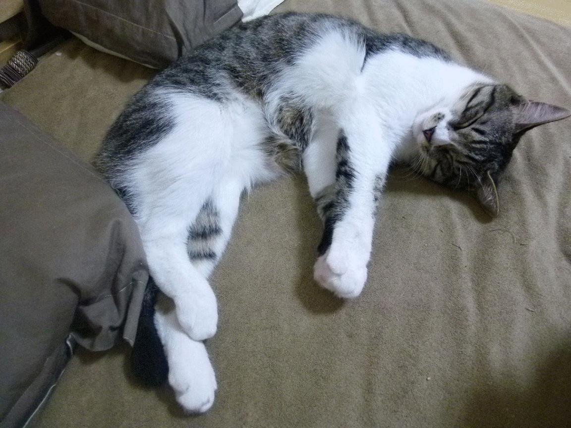 Kaiyun(中国)开云-“跃过悬崖：悬崖绝壁的极速飞跃”，跨过悬崖是什么歌里的词