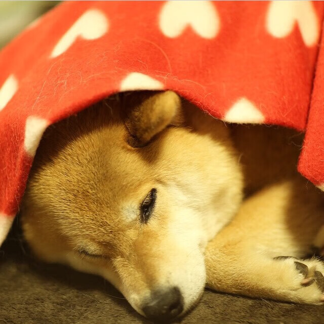 Kaiyun APP-从挫折中崛起：车手的逆境成长故事，励志车手故事