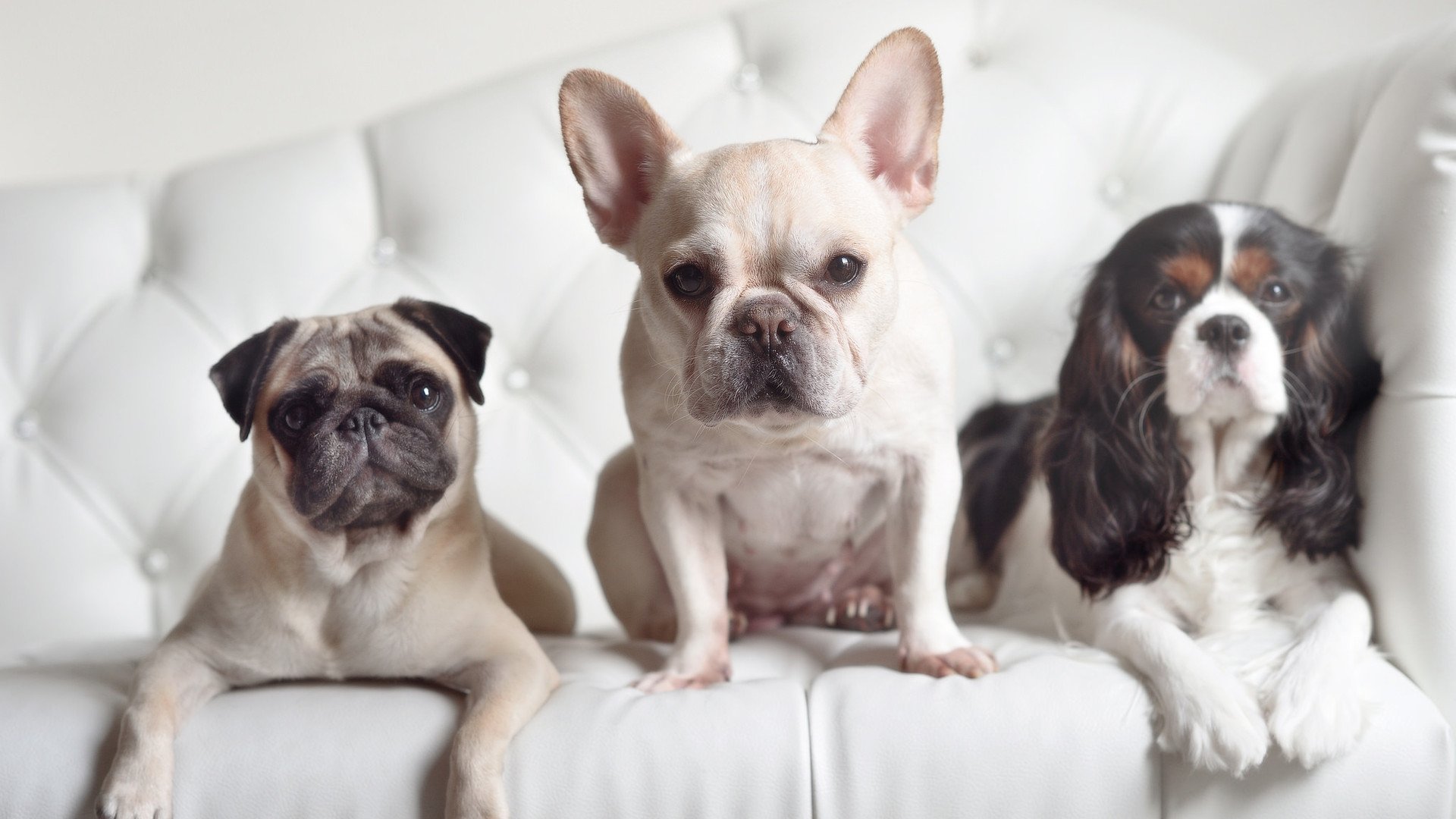 创新赛事模式,颠覆传统电竞体验!,电竞创联赛