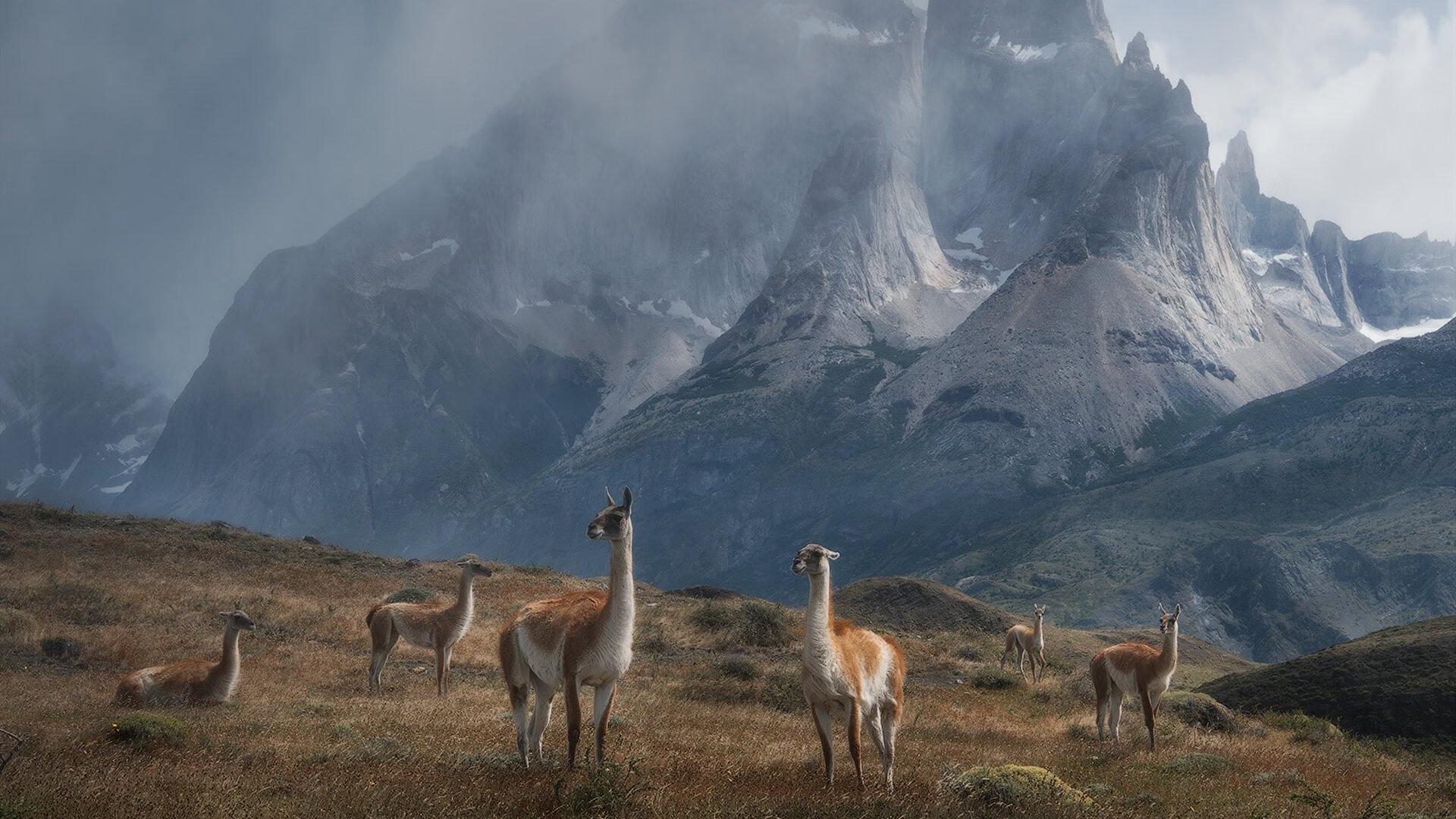 心理抗压：明星在关键时刻的心理调节，明星谈压力
