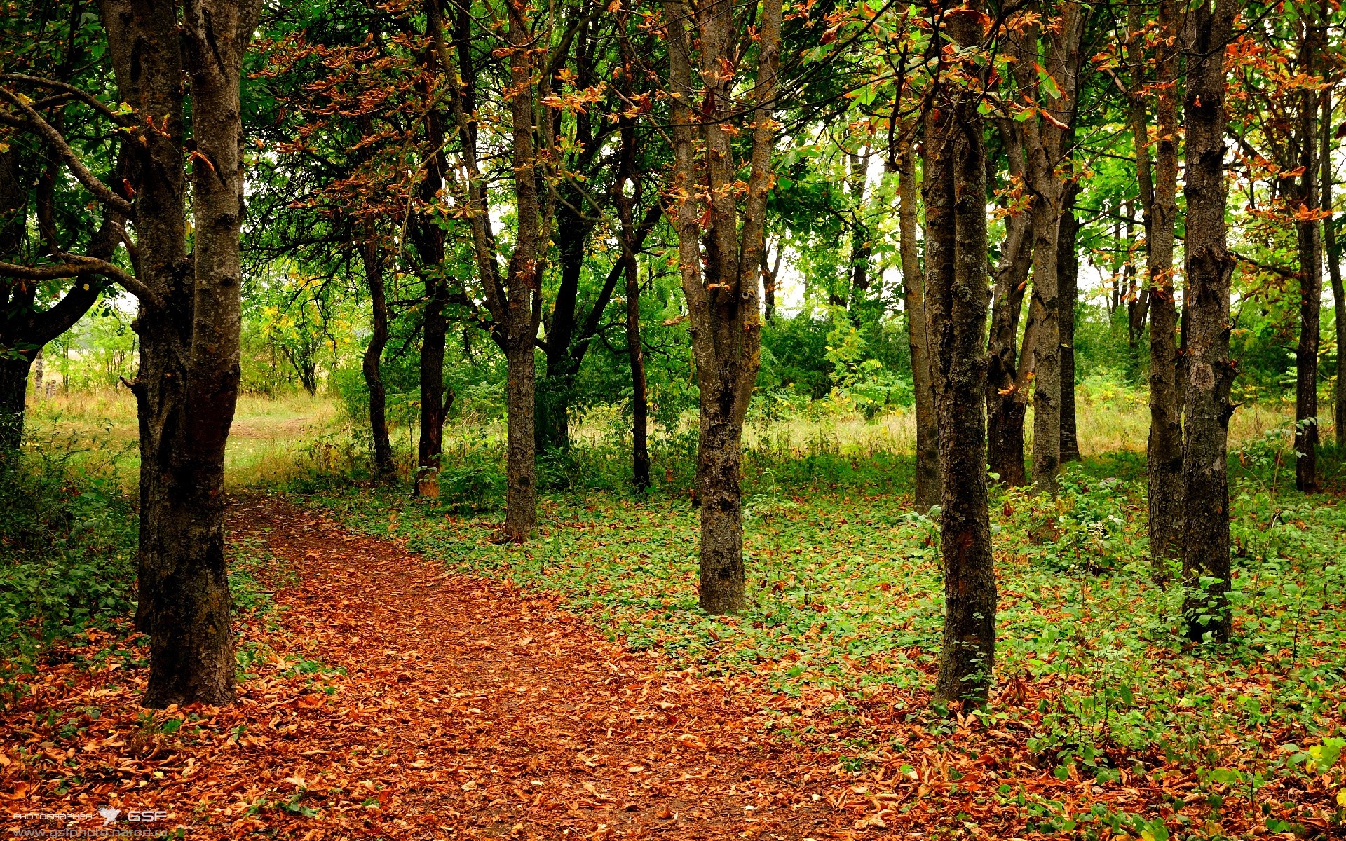 kaiyun登录入口-未来“欧洲霸主”崭新力量：谁能一统天下？，未来欧洲会统一吗