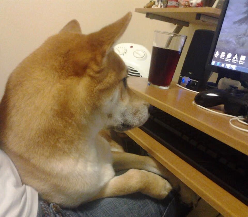 法甲明星战力爆发，推动球队连续赢球，法甲明星战力爆发,推动球队连续赢球