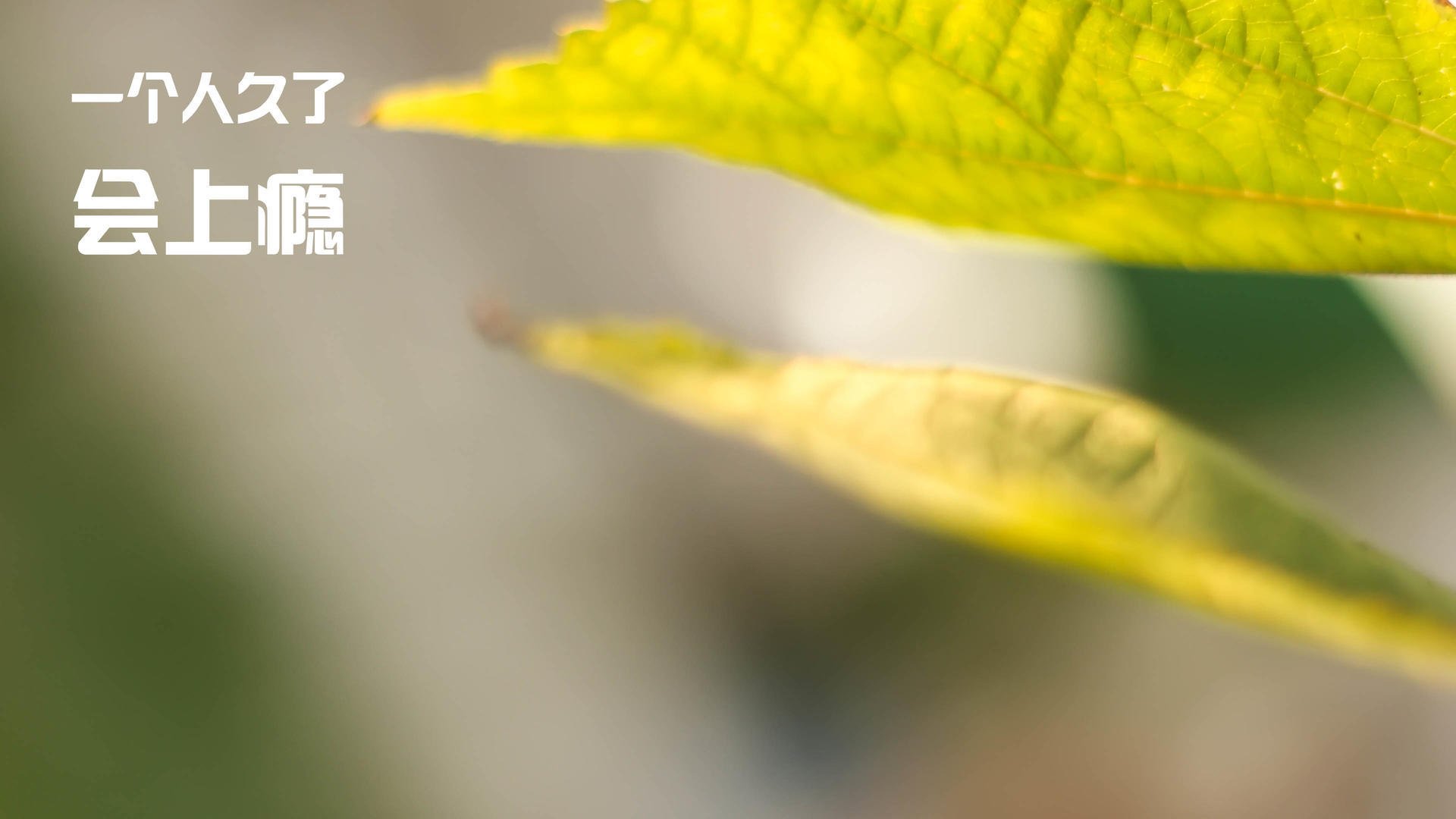 Kaiyun(中国)开云-特色足球文化旅游融合项目在多地实现产业链深度延伸，足球特色学校文化