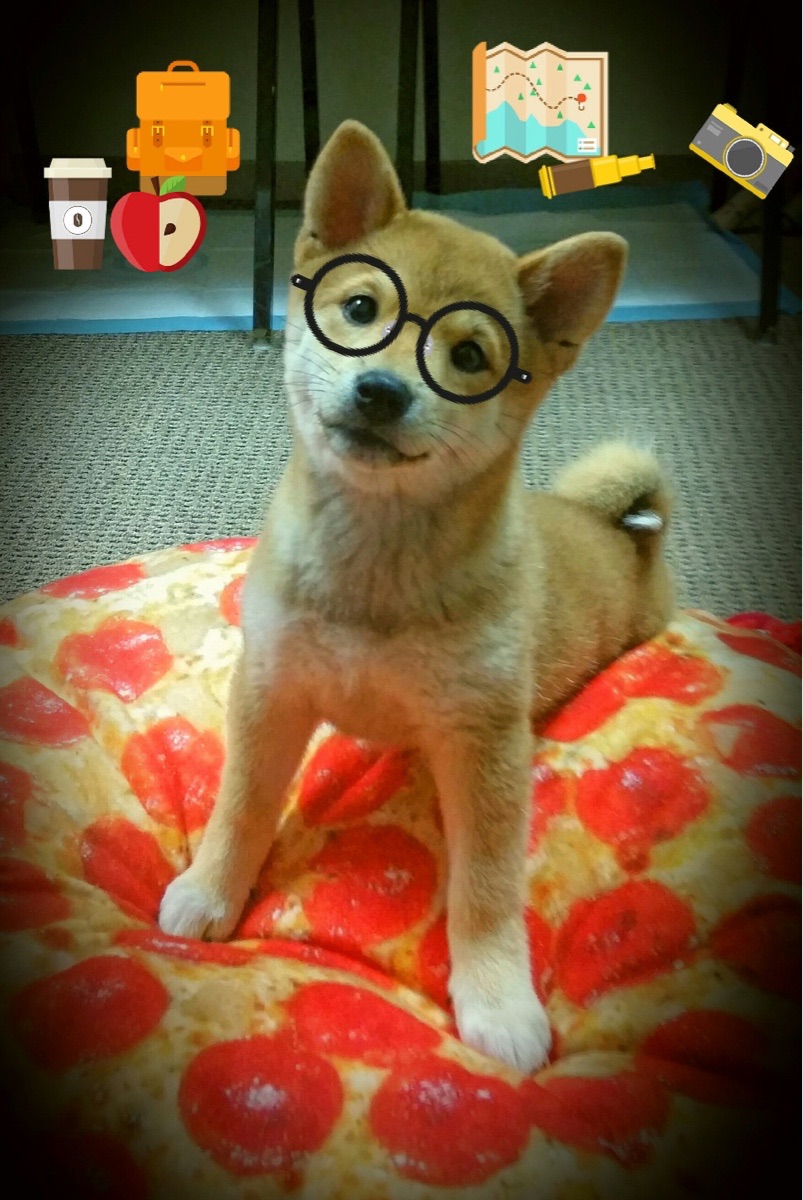 足球志愿者服务队伍不断壮大,为青少年提供了更加温暖的运动环境