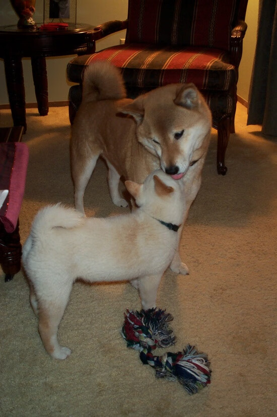 kaiyun体育app-逆境中的勇士：伤病逆袭的励志故事感动无数，逆境中的人