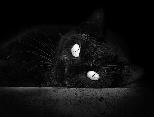 逆境中的勇士:伤病逆袭的励志故事感动无数,逆境中的人