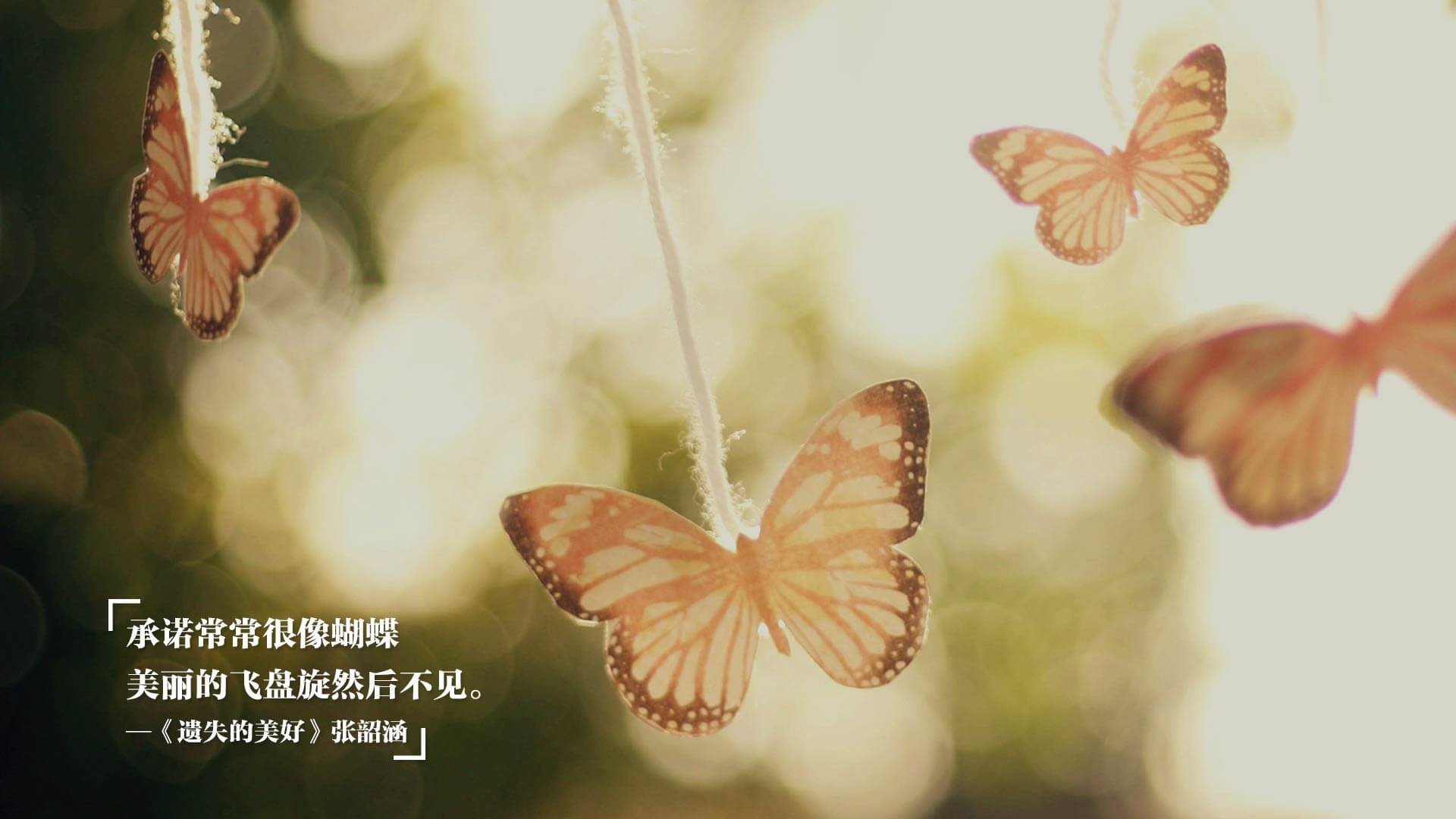 青少年“篮动青春—未来之星”全国巡讲在陕西启动,激发青少年追梦热情