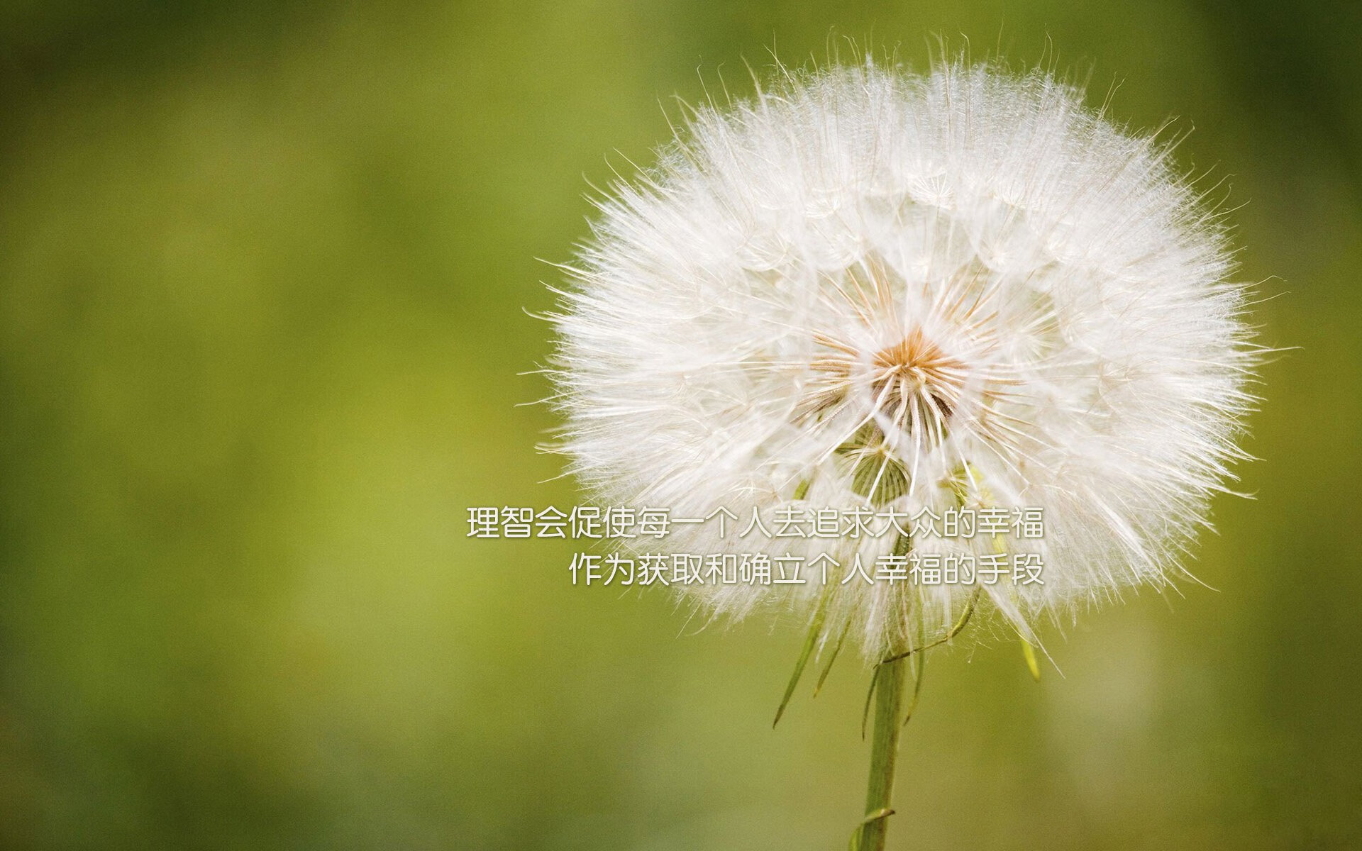 kaiyun网站-CBA球队财务管理研究，cba球队营收情况