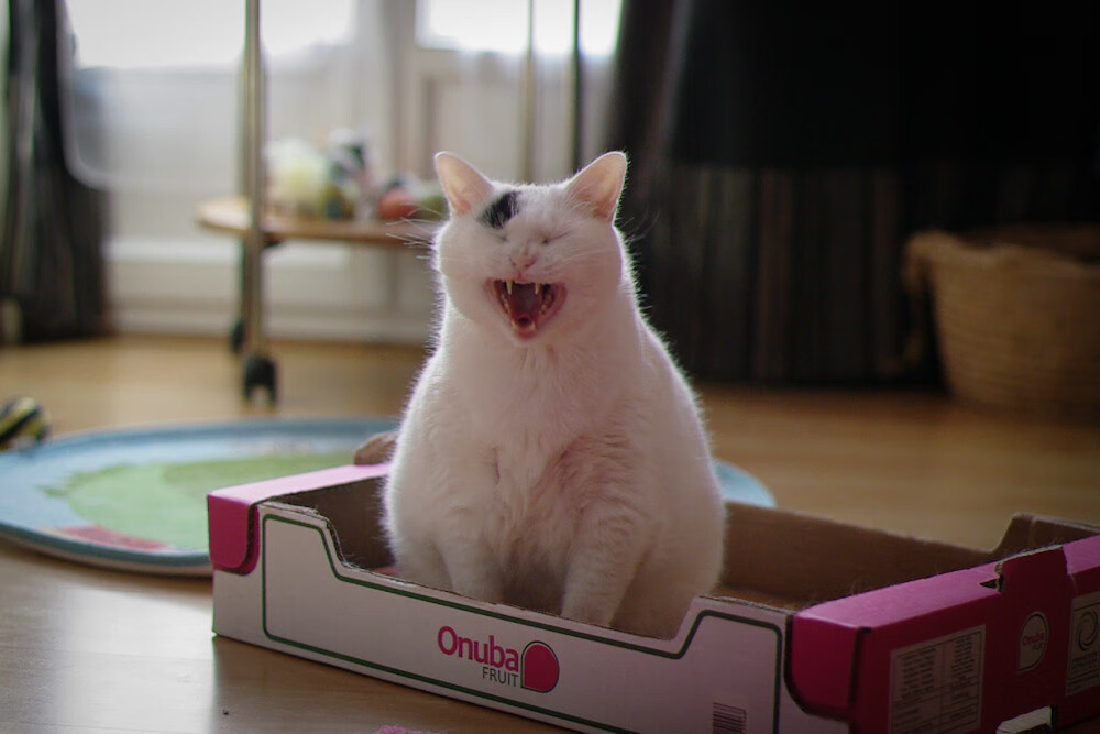 FaZe助力推广LOL电竞文化,英雄联盟电竞发布会在哪个城市