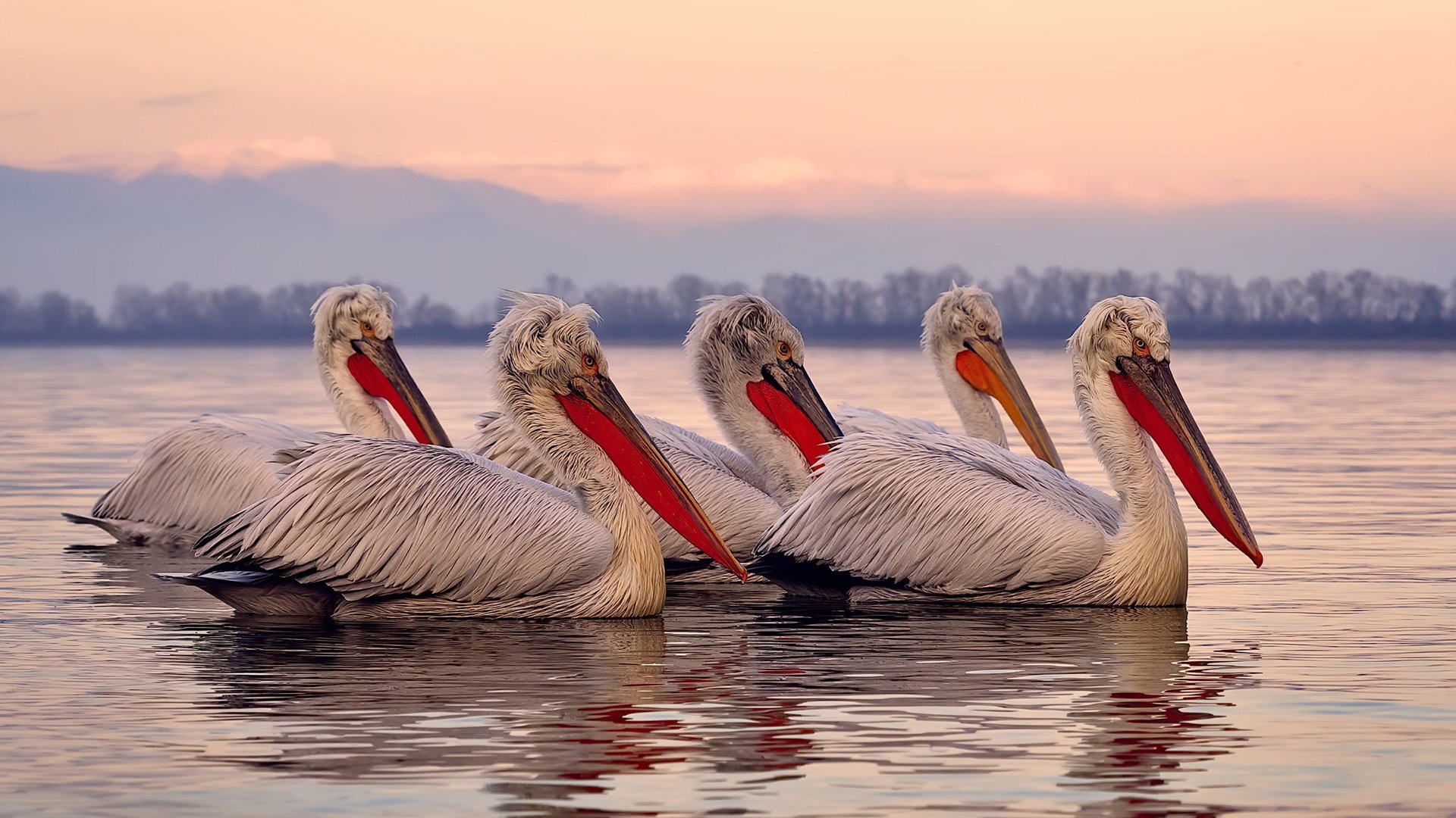 女足比赛中,中国队展现出统一配合,中国女足同组对手