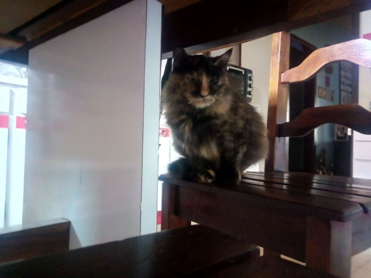 毕尔巴鄂竞技客场2-1战胜莱万特,取得重要胜利,毕尔巴鄂竞技官方商城