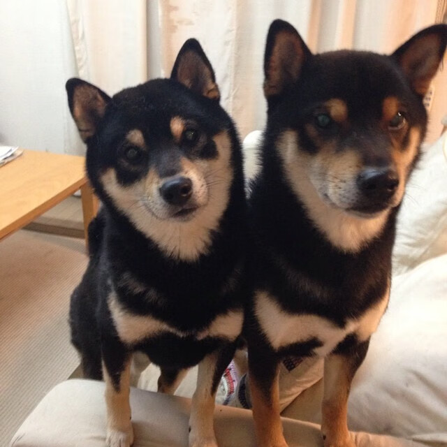 电竞游戏设计与职业竞技需求的融合创新探索,游戏设计与电子竞技基本常识