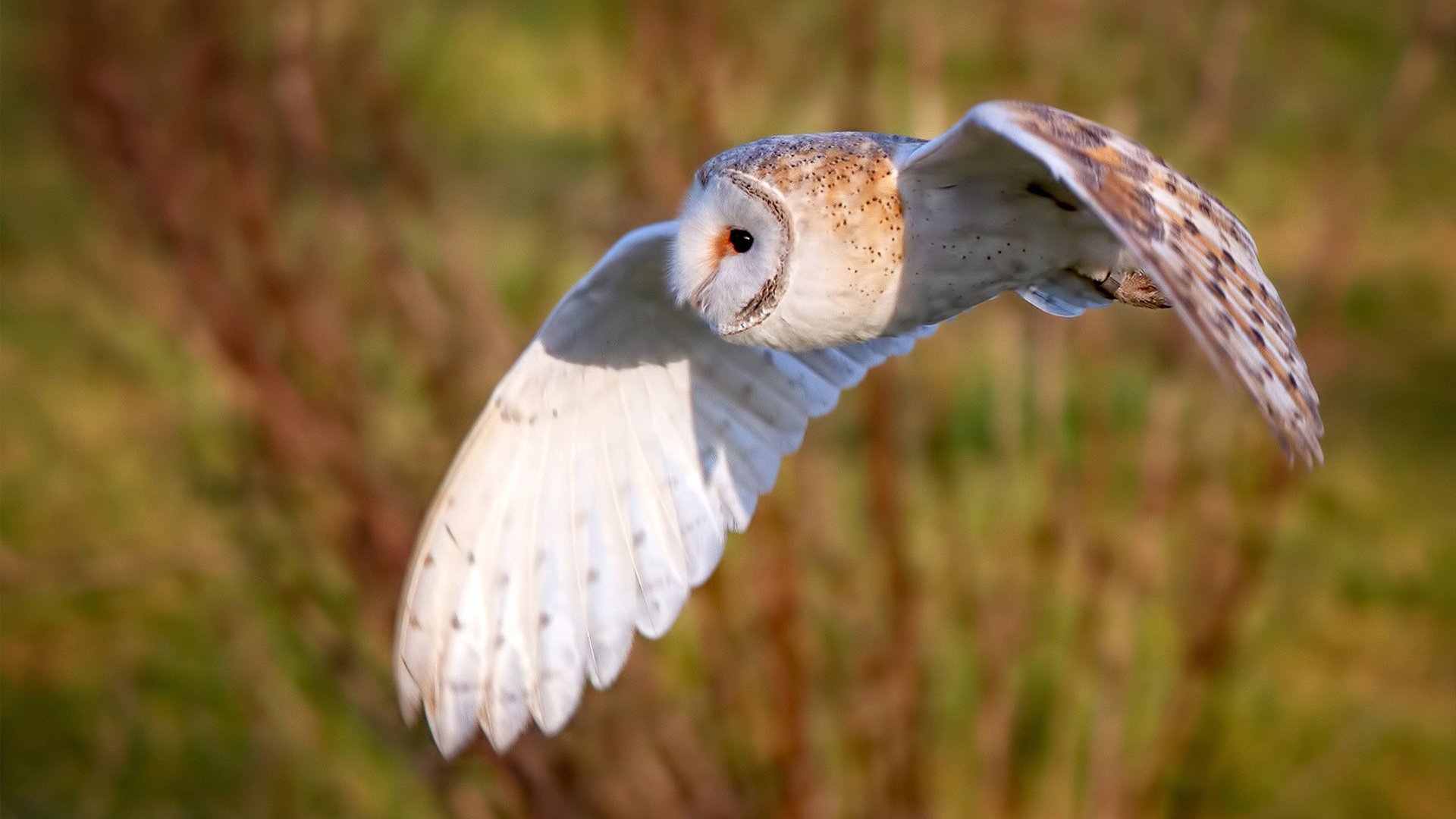 开云官方网站-青岛男篮球员训练积极性高涨，青岛男篮领队及队员