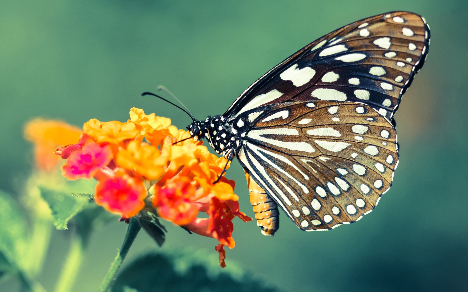 kaiyun中国官方网站-中国足球门前抢点效率统计，足球抢点是什么意思