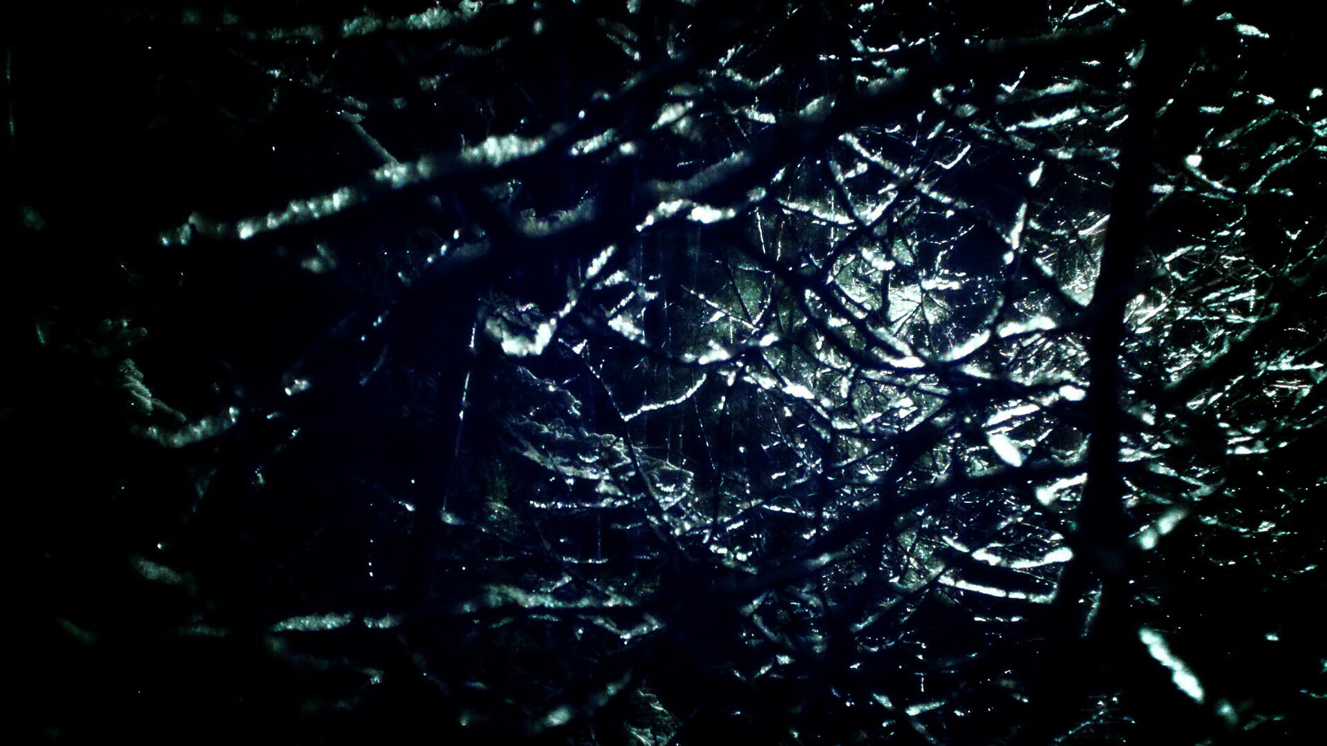 中超新赛季阵容调整趋势,中超新赛季各队名单