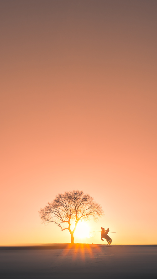 体育总局出台新规保护青训,国家对青少年体育