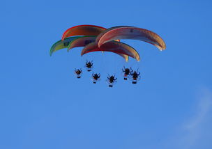 开云kaiyun-英超球队结合疲劳评分系统动态分配替补上场时机，英超伤病报告_球员受伤成本逐年攀升