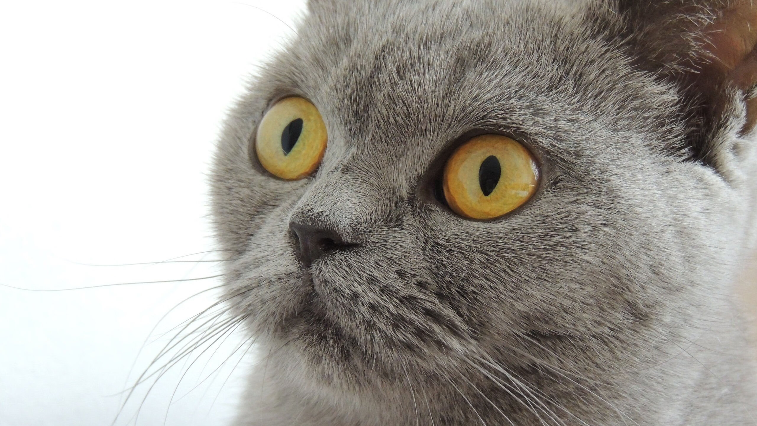 “高新体育中心羽毛球赛:选手精准击球,精彩纷呈”