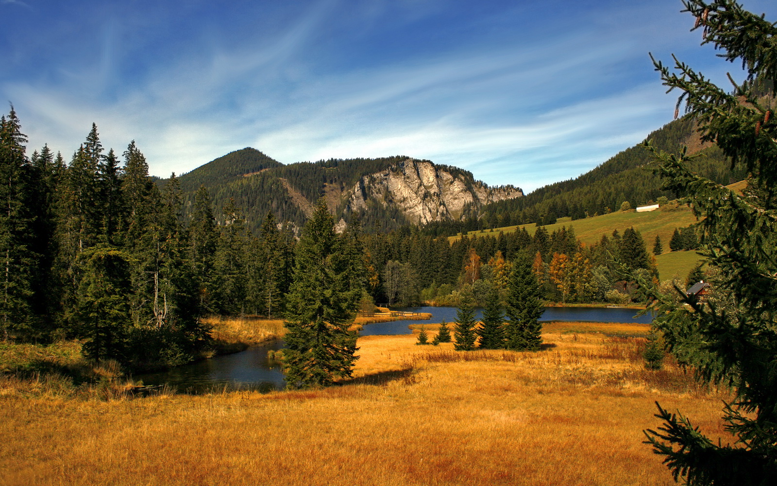 体育新闻中心启动体育内容多渠道品牌传播计划,体育新闻标题大全100条