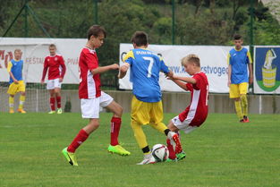 开云中国大陆-突尼斯希望进攻套路单一，被对手识破，突尼斯是啥意思