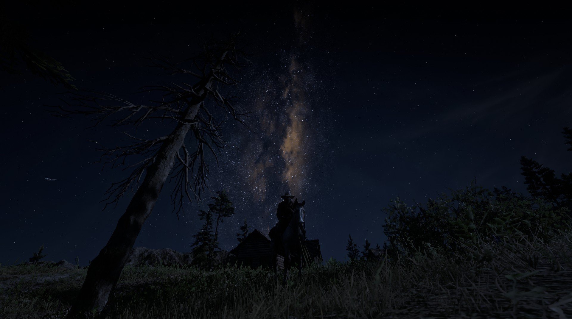 Kaiyun官方登录入口-“诺克·达维德·彼得森引领南非羚羊队踏上胜利之路”