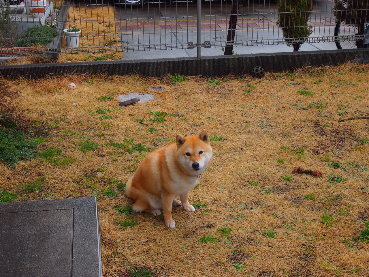 以足球运动为载体的全民健身工程持续推进,普及率提升,以足球运动为主题的绘画