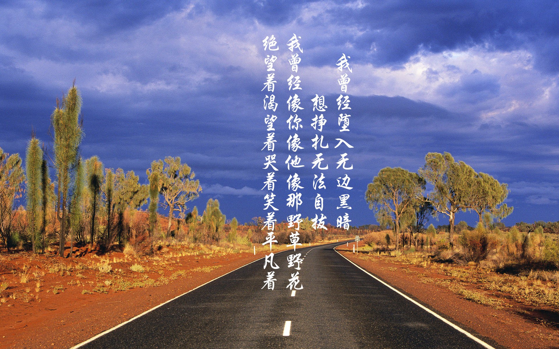 kaiyun官方网站-谢佩玲冲刺阶段技压群雄，谢佩佩台湾