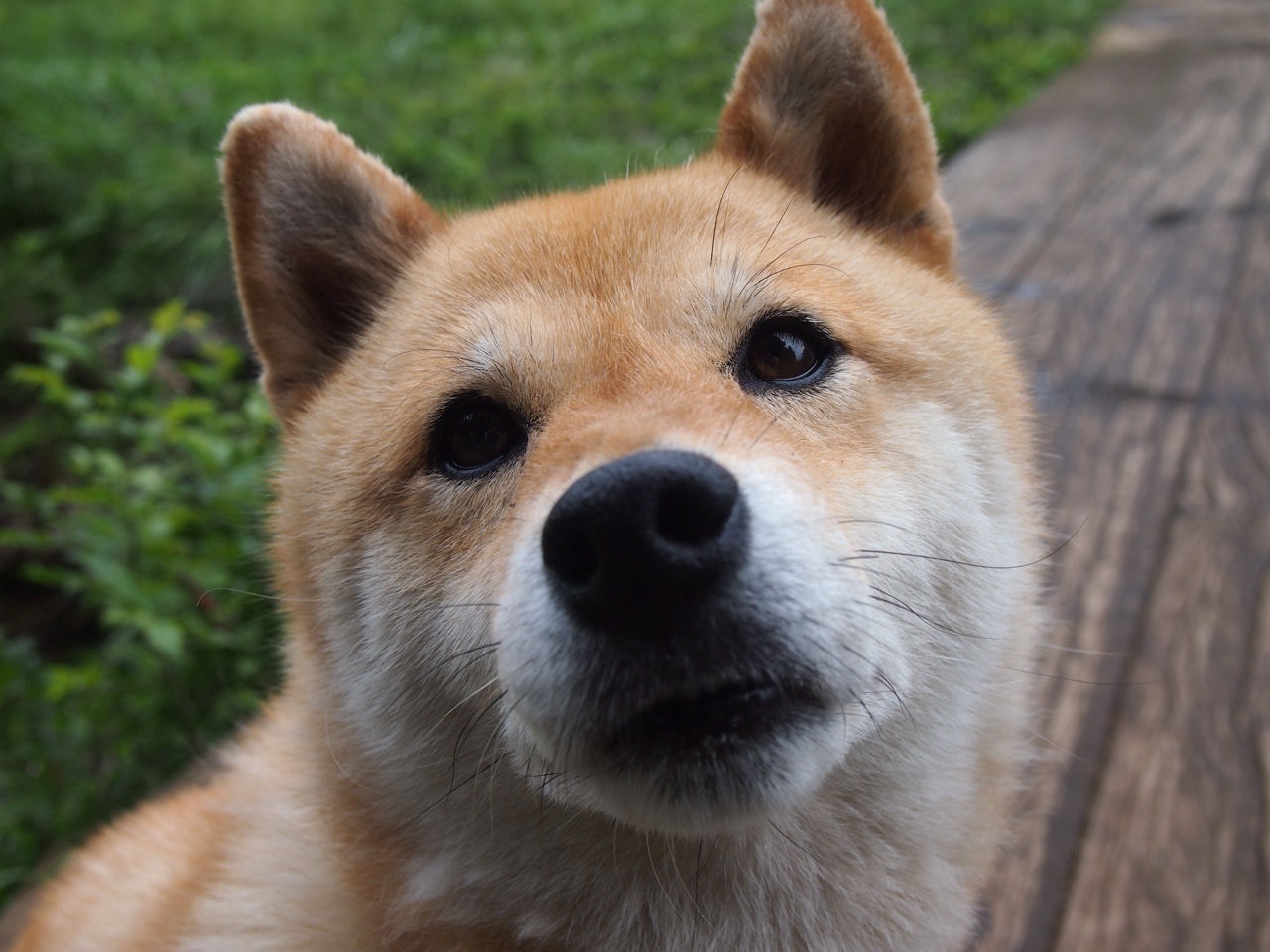 开云体育-跨项目合作丰富训练方式，跨项目金牌